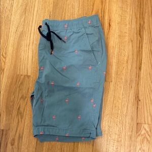 Blue Flamingo Print Shorts